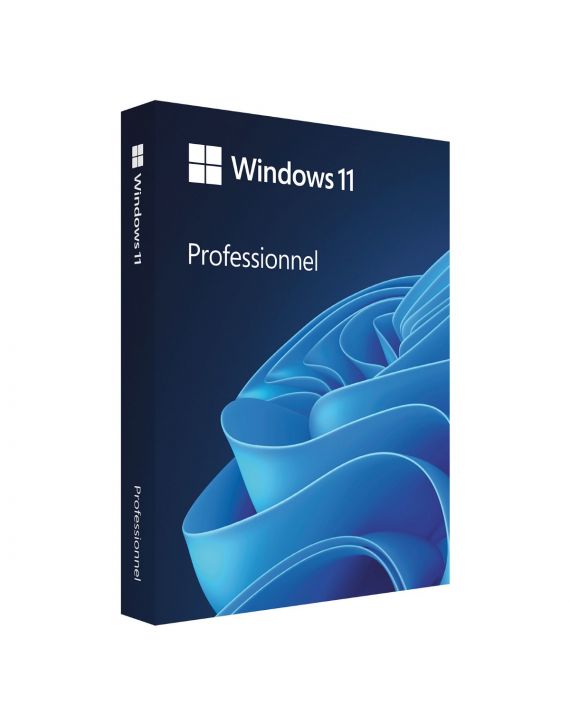 Microsoft Windows 11 Professionnel 64 bits OEM DVD